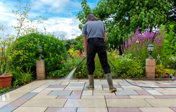Best Driveway Pressure Washing  in Beaverton, MI