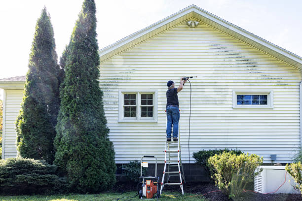 Trusted Beaverton, MI Pressure Washing Services Experts