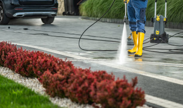 Best Fence Cleaning  in Beaverton, MI